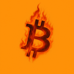 Burncoin 图标