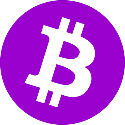 Purple Bitcoin 图标