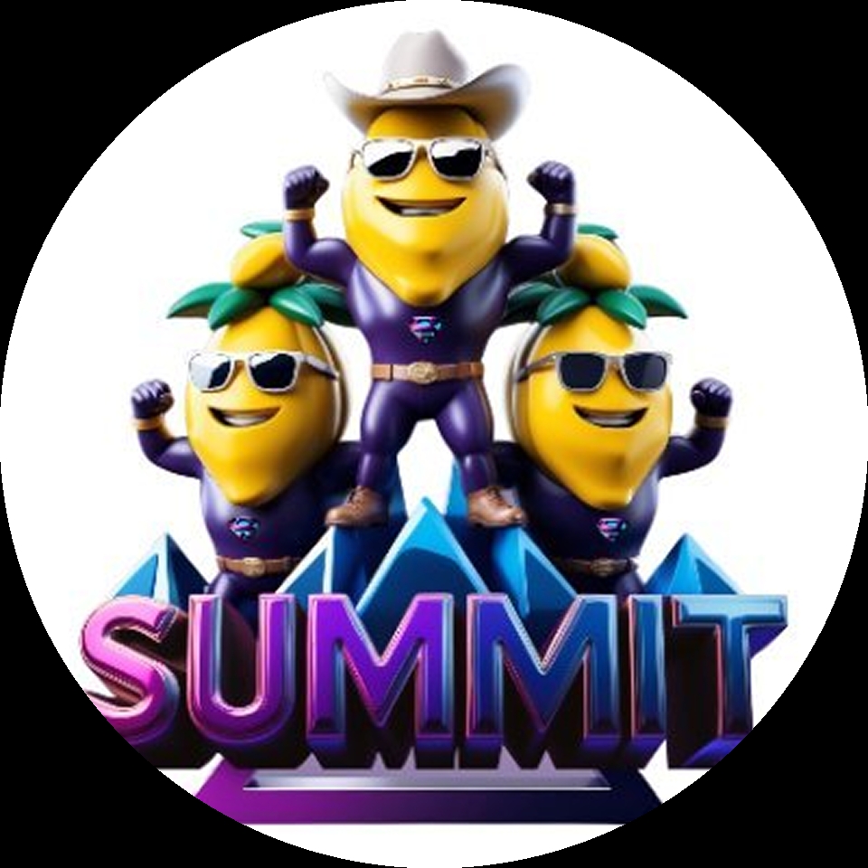 SUMMIT