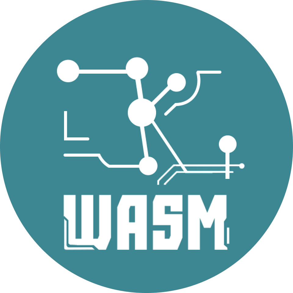 ZKWASM