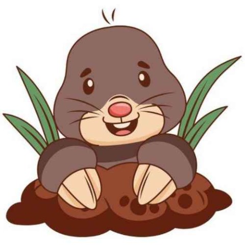 Molesmash