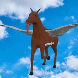 FlyingKetamineHorse
