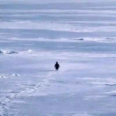 Логотип Nietzschean Penguin