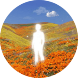 Prediksi Harga CLARITY