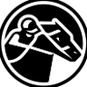 zkRace Logo