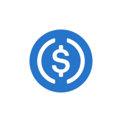 Re7 USDC Logo