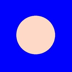 Bald Logo