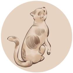 Madonna del gatto Logo