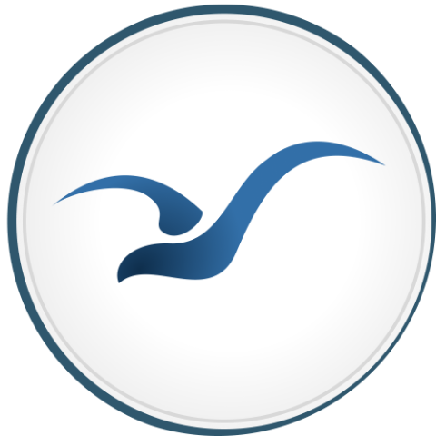 Gull ai Logo
