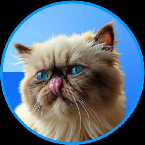 MIGGLES/USD -  (MIGGLES) to U. S. Dollar (USD) Calculator