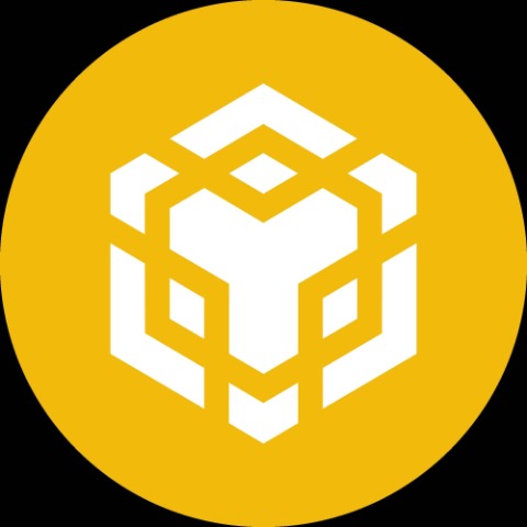 Binance Coin Logo