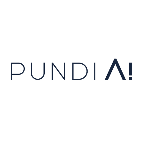 PUNDIAI Price Prediction