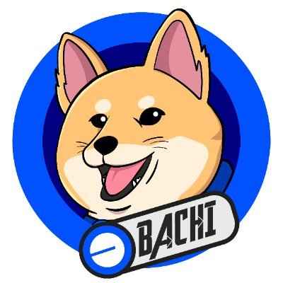 BACHI/USDT